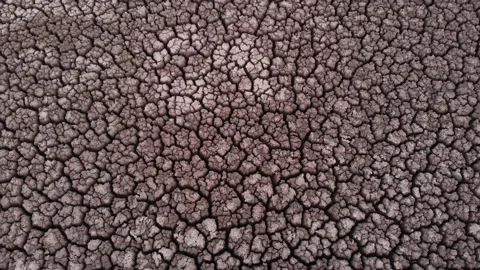 Aerial view of crackled earth texture of the dry lake Stock Footage 139399194