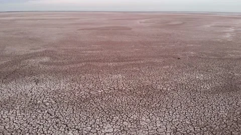 Aerial view of crackled earth texture of the dry lake Stock Footage 139399196