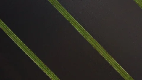 Aerial view of cranberry marsh in central Wisconsin. Vidéo 117548920