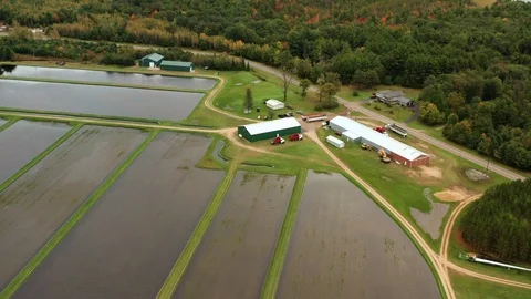 Aerial view of cranberry marsh in central Wisconsin. 動画素材 117549034