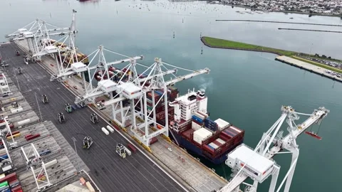 Aerial view of cranes loading container ship at port terminal Video stock 337811301