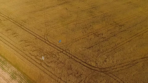 Aerial View of a Crashed UAV Drone and Deployed Parachute operation possible Video stock 303470468
