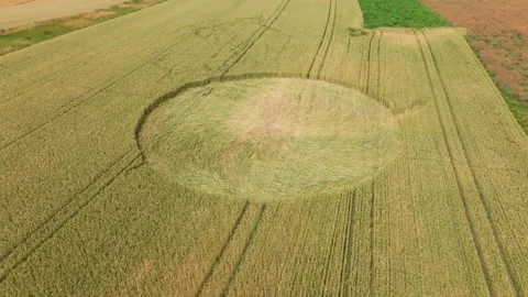 Aerial View Of Crop Circle Formation In A Wheat Field - Drone Shot Stock Footage 280756246