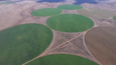 Aerial View of Crop Circles Stock Footage 52330353