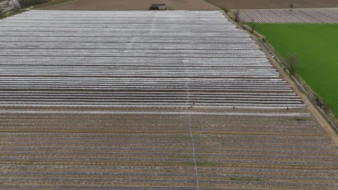 Aerial view of crop fields and plastic-covered mini greenhouses Video stock 310980301
