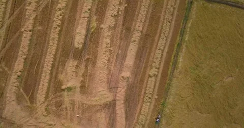 Aerial view of crop fields Stock Footage 257252480