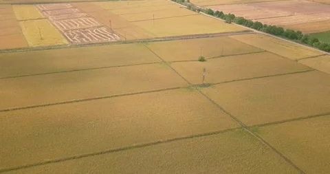 Aerial view of crop fields Stock Footage 257254771