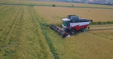 Aerial view of crop fields Stock Footage 257259741