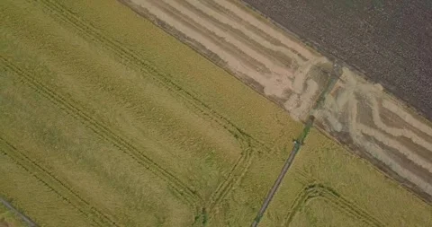 Aerial view of crop fields Stock Footage 257261212