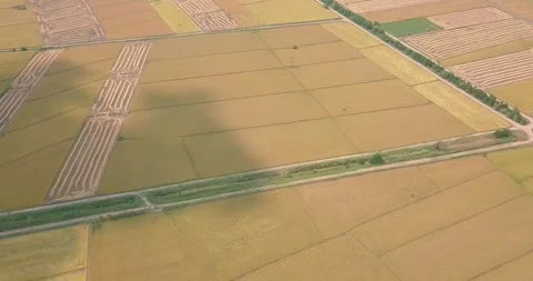 Aerial view of crop fields Stock Footage 257262622
