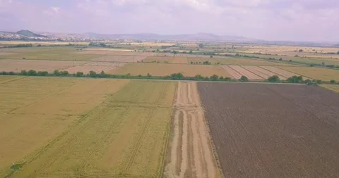 Aerial view of crop fields Stock Footage 257265001