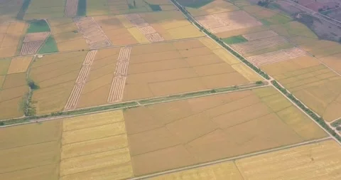 Aerial view of crop fields Stock Footage 257265068