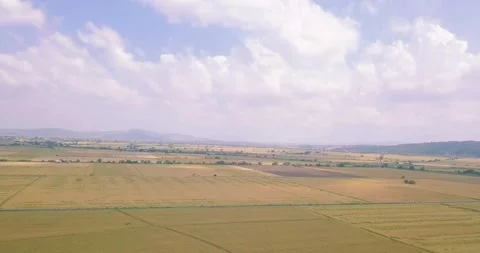 Aerial view of crop fields Stock Footage 257265171