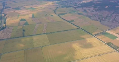 Aerial view of crop fields Stock Footage 257265936
