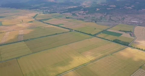 Aerial view of crop fields Stock Footage 257266474