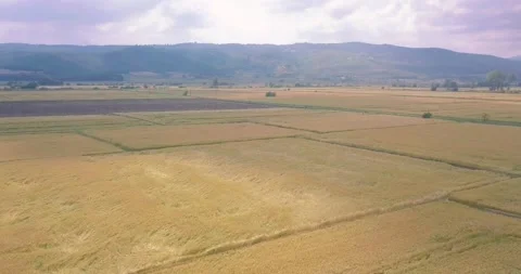 Aerial view of crop fields Stock Footage 257266685
