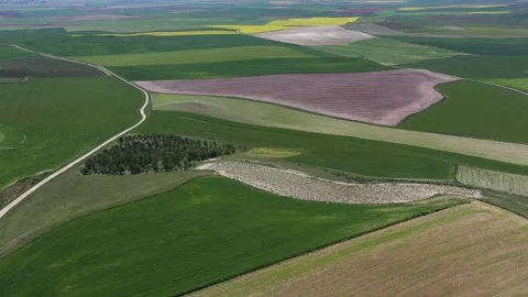 Aerial view of the crop fields in spring in Valladolid, Castilla y León Stock Footage 154051685