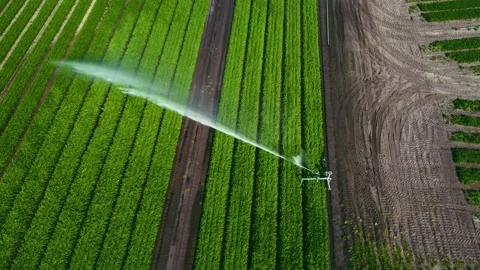 Aerial view of crop irrigation system. Stock Footage 175455876