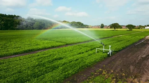 Aerial view of crop irrigation system sprinkler. Stock Footage 175462852
