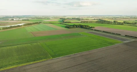 Aerial view of cropland in evening light, Netherlands. Stock Footage 288477257