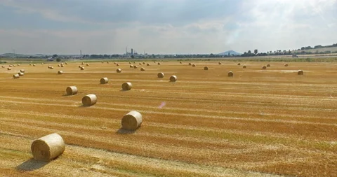 Aerial view of cropped wheat field with bales of hay in the countryside. Stock Footage 88097161