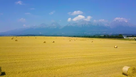 Aerial view of cropped wheat field with bales of hay in the countryside with  動画素材 93546441