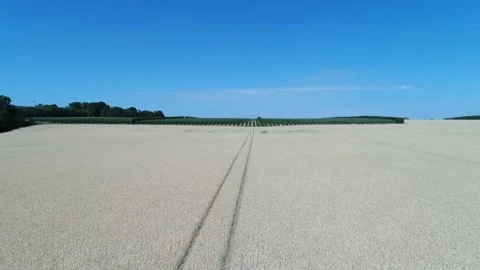 Aerial view of crops field in Österlen, Sweden (1) Stock Footage 164094891