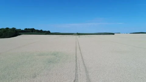Aerial view of crops field in Österlen, Sweden (2) Stock Footage 164094987
