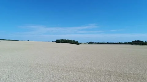 Aerial view of crops field in Österlen, Sweden (8) Stock Footage 164097264