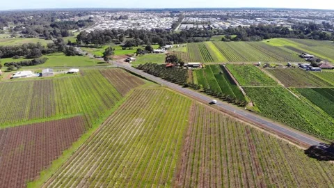 Aerial View of a Crops Stock Footage 140895320