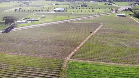 Aerial View of a Crops Stock Footage 140895321