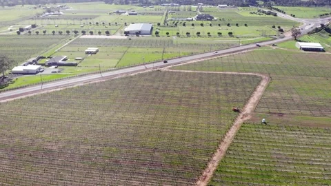 Aerial View of a Crops Stock Footage 140895492