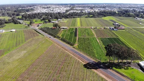 Aerial View of a Crops Stock-Footage 140895832