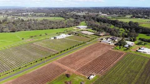 Aerial View of a Crops Stock Footage 140907141