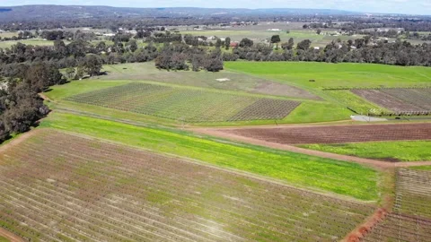 Aerial View of a Crops Stock Footage 140907164