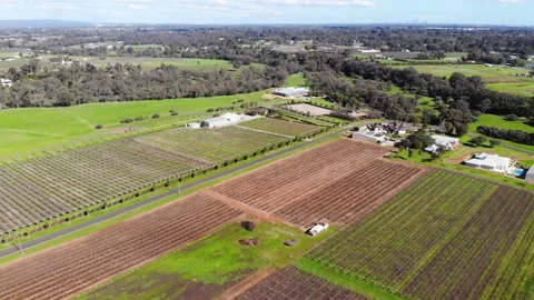 Aerial View of a Crops Stock Footage 140907442