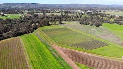 Aerial View of a Crops Stock Footage 140909810
