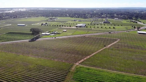 Aerial View of a Crops Stock Footage 140909878