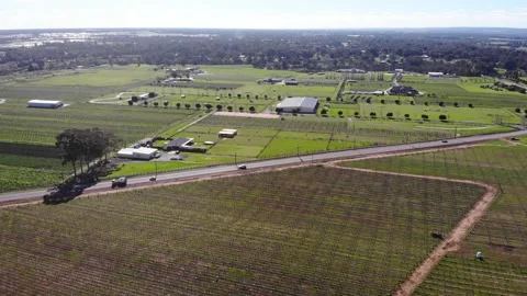 Aerial View of a Crops Stock Footage 140910017