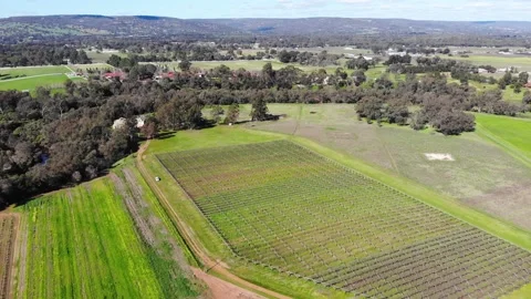 Aerial View of a Crops Stock Footage 140910089