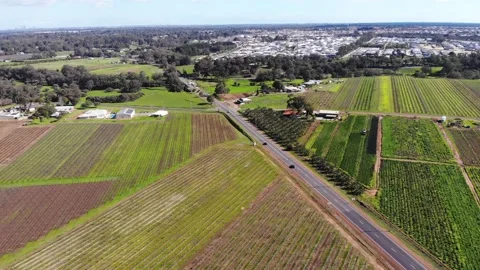 Aerial View of a Crops Stock Footage 140915864