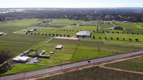 Aerial View of a Crops Stock Footage 140916939