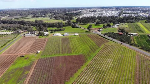 Aerial View of a Crops Stock Footage 140917095