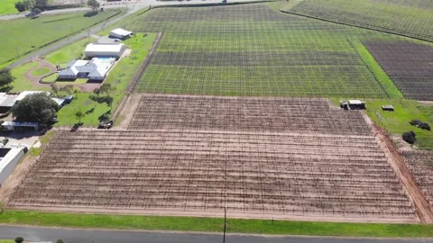 Aerial View of a Crops Stock-Footage 140919880