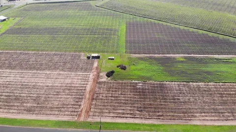 Aerial View of a Crops Stock-Footage 140921265