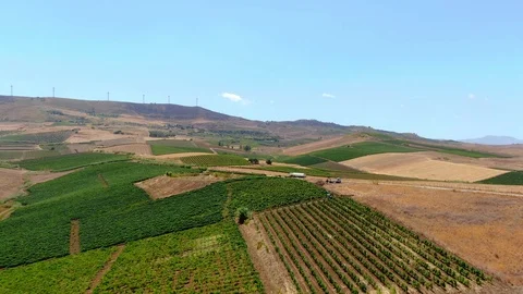 Aerial view of Crops Patchwork Fields Growing Food Produce, sicily Stock Footage 124469532