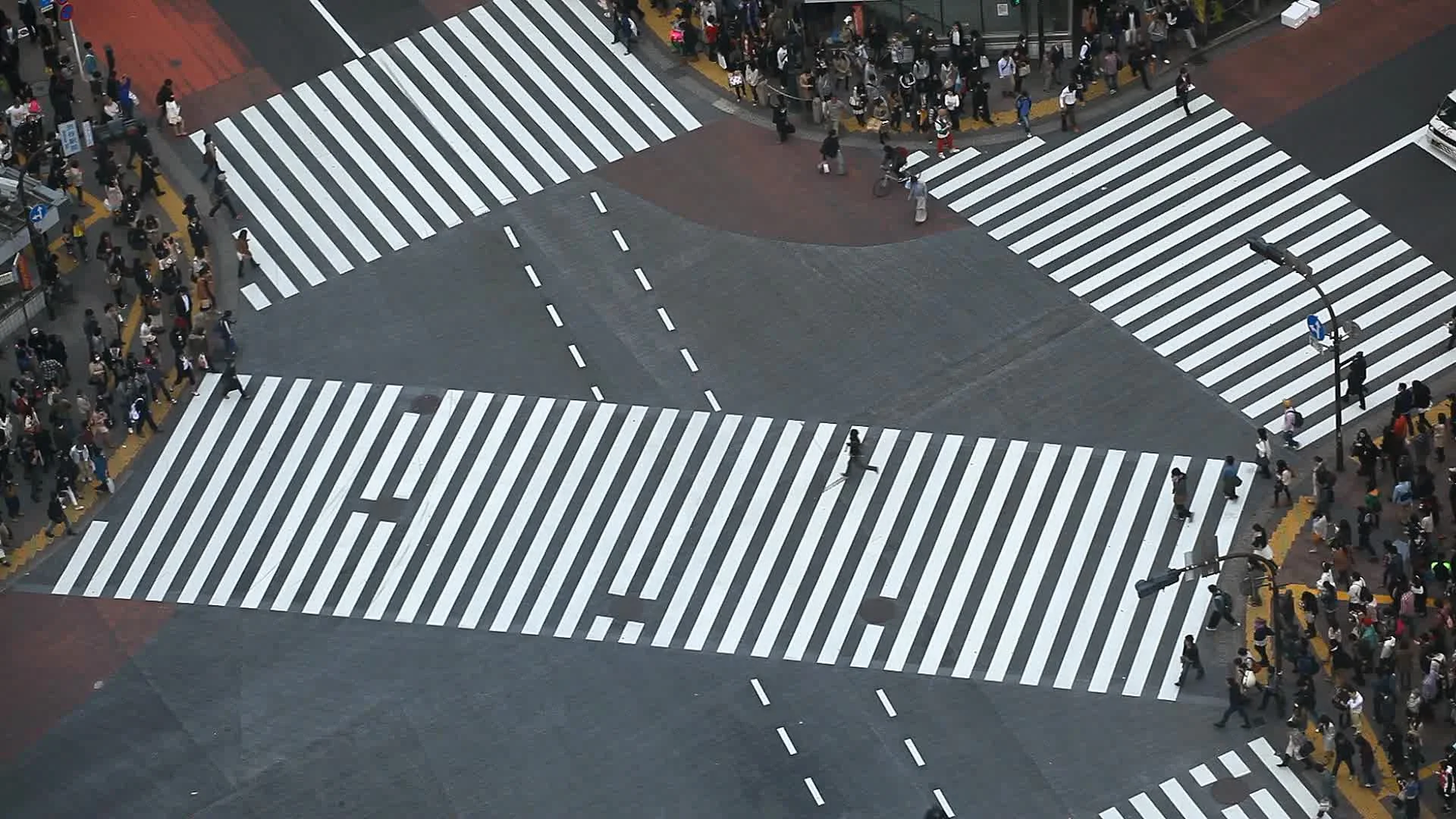 Black and White Photo of a Crosswalk on an Empty Street at Night · Free  Stock Photo