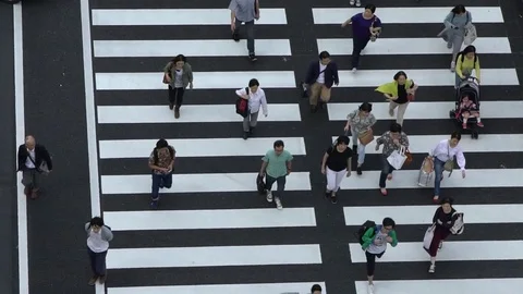 Aerial view crowd of people walking in intersection Tokyo Station Marunouchi-Dan Stock Footage 81423739