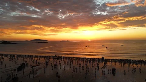 Aerial View of Crowded Beach at Sunrise with Golden Ocean Waves and Clouds Video stock 342091786