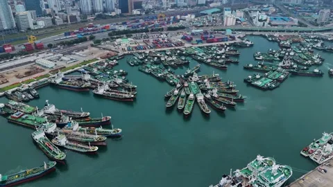 Aerial view of crowded busan port industrial dock in south korea Видео 341908704